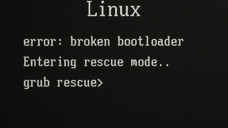 After OVH put my server to rescue mode it didn't want to boot in normal mode.